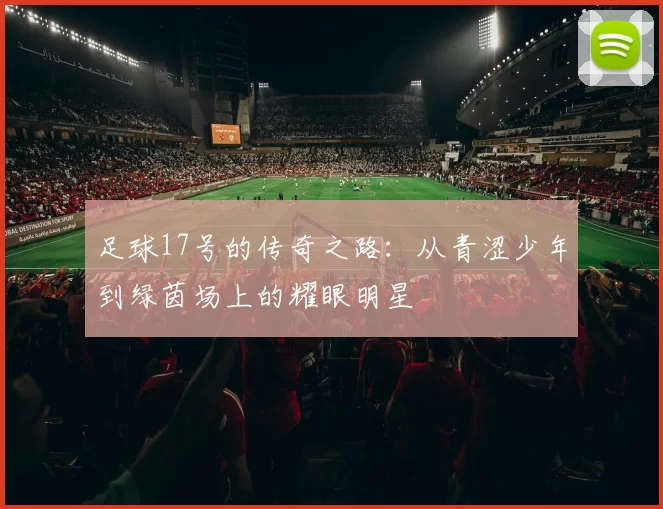 足球17号的传奇之路：从青涩少年到绿茵场上的耀眼明星