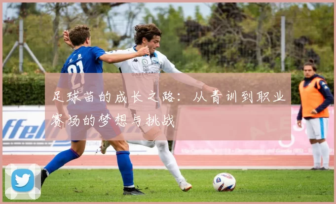 足球苗的成长之路：从青训到职业赛场的梦想与挑战